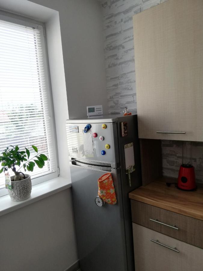 Topliţa Apartament Raluca מראה חיצוני תמונה
