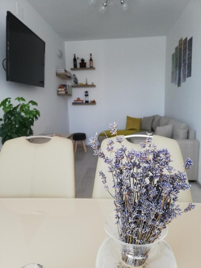 Topliţa Apartament Raluca מראה חיצוני תמונה